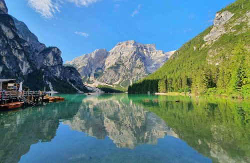 pexels-mysurrogateband-1076071941-29708577